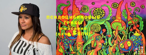 таблы Аркадак